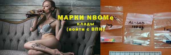 амф Бородино