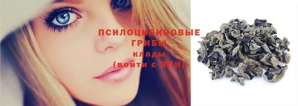 амф Бородино