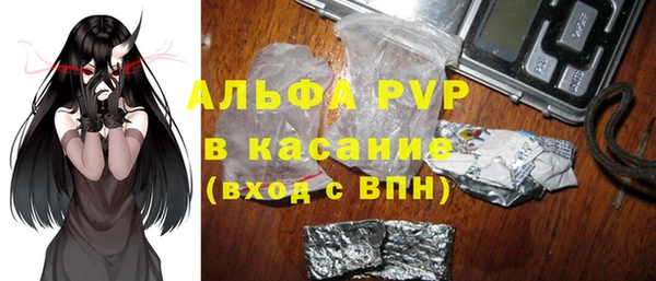 амф Бородино