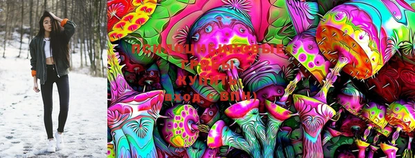 mdma Богородицк