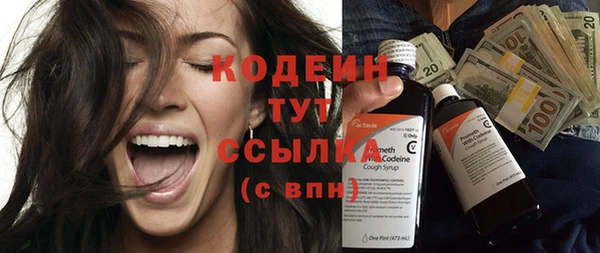 амф Бородино